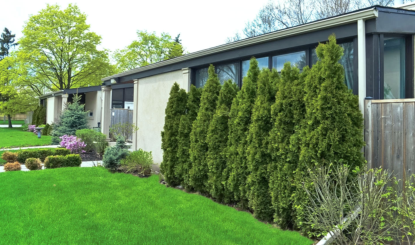 Addiction Rehab Toronto 
