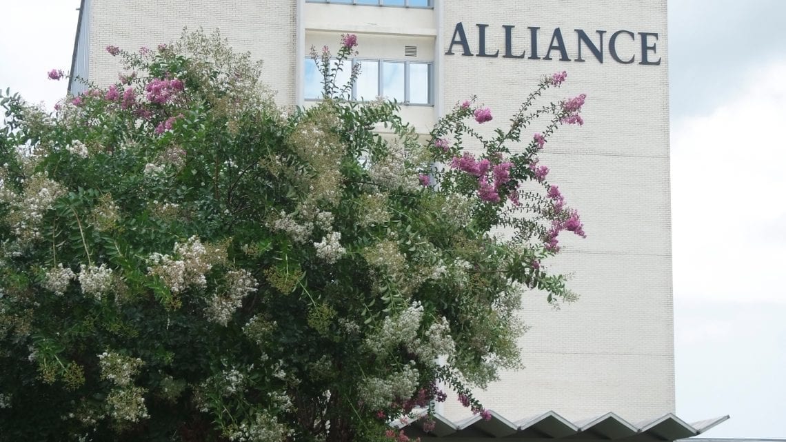 Alliance Health Center North Meridian Mississippi 