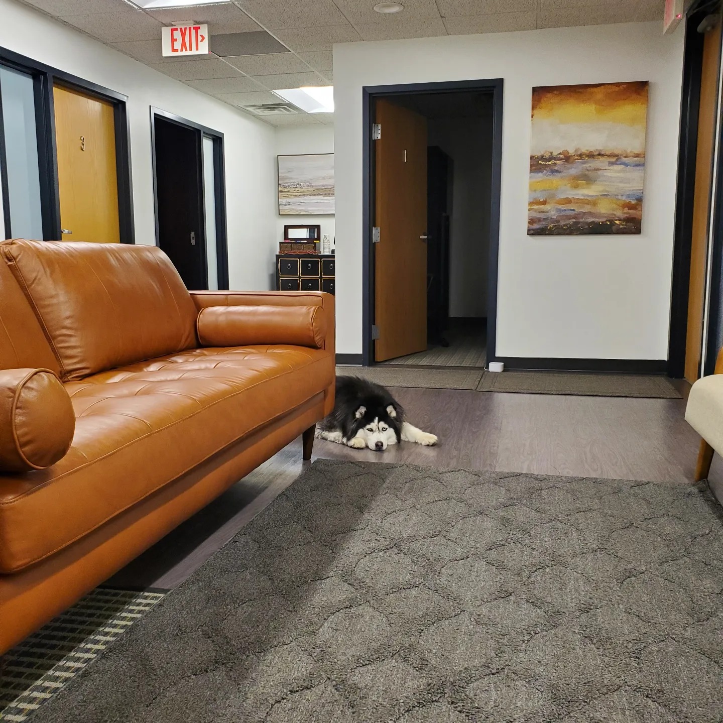 Bhakti Brain Health Clinic Edina Minnesota 
