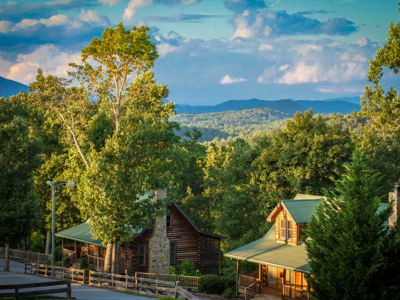 Black Bear Lodge   