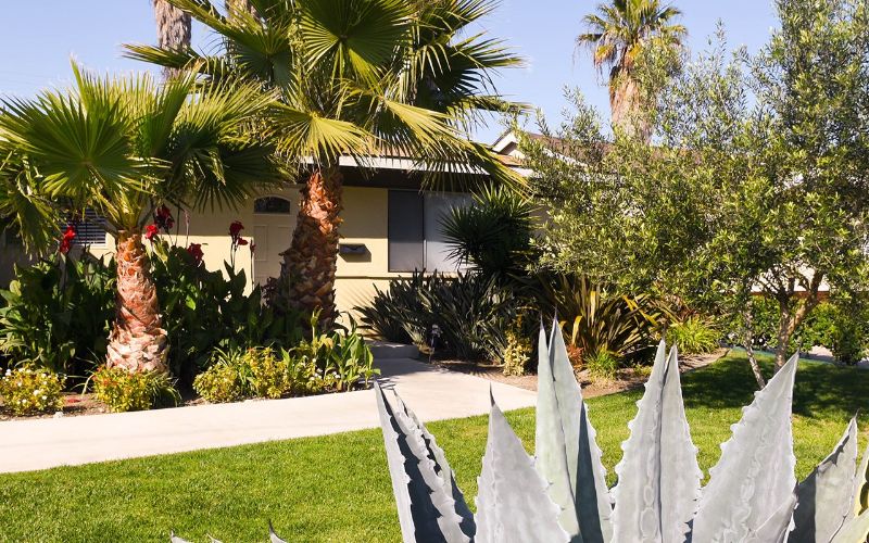 Clean Path Recovery Costa Mesa California 