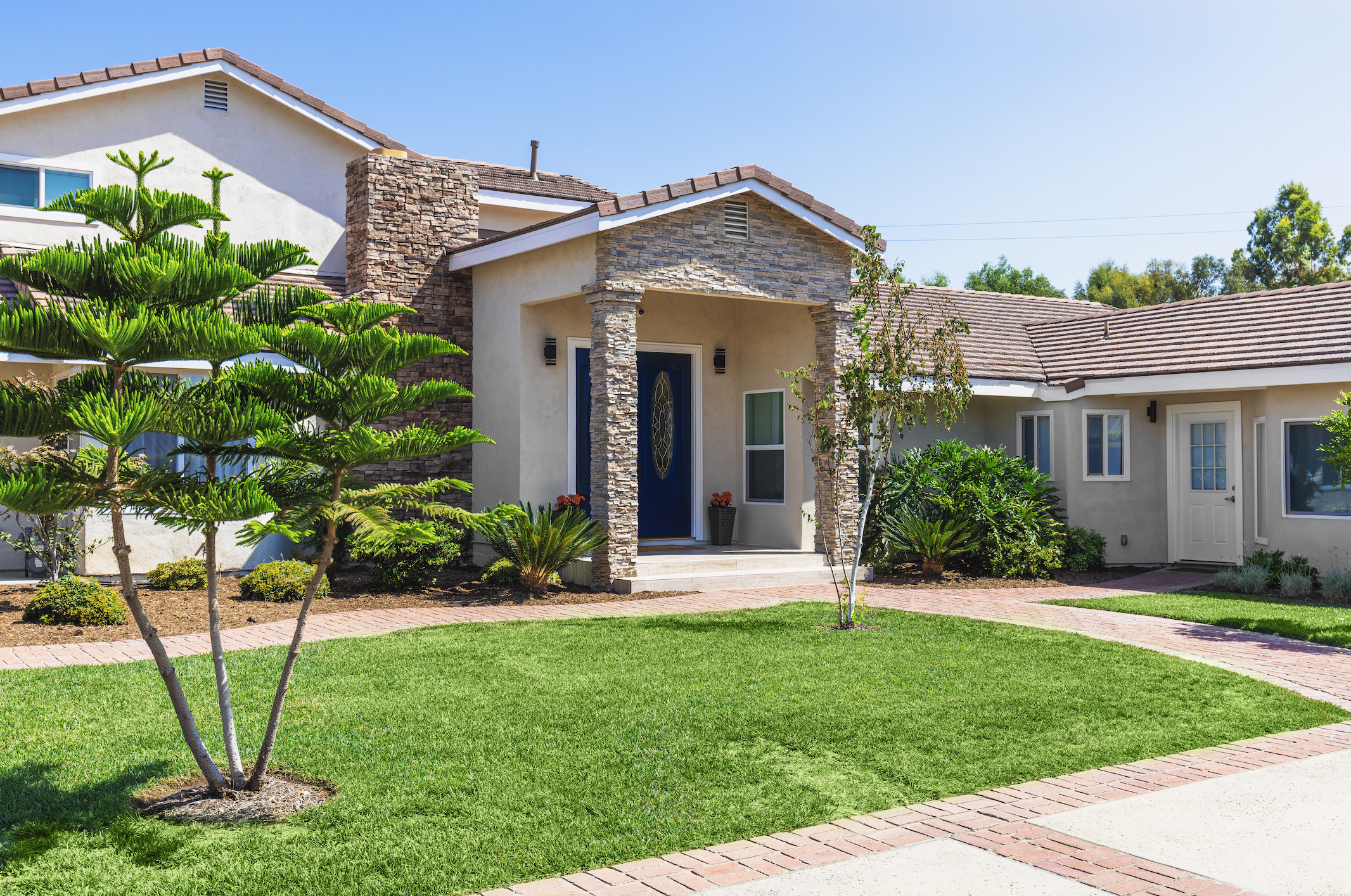 Clementine Orange County Yorba Linda California 