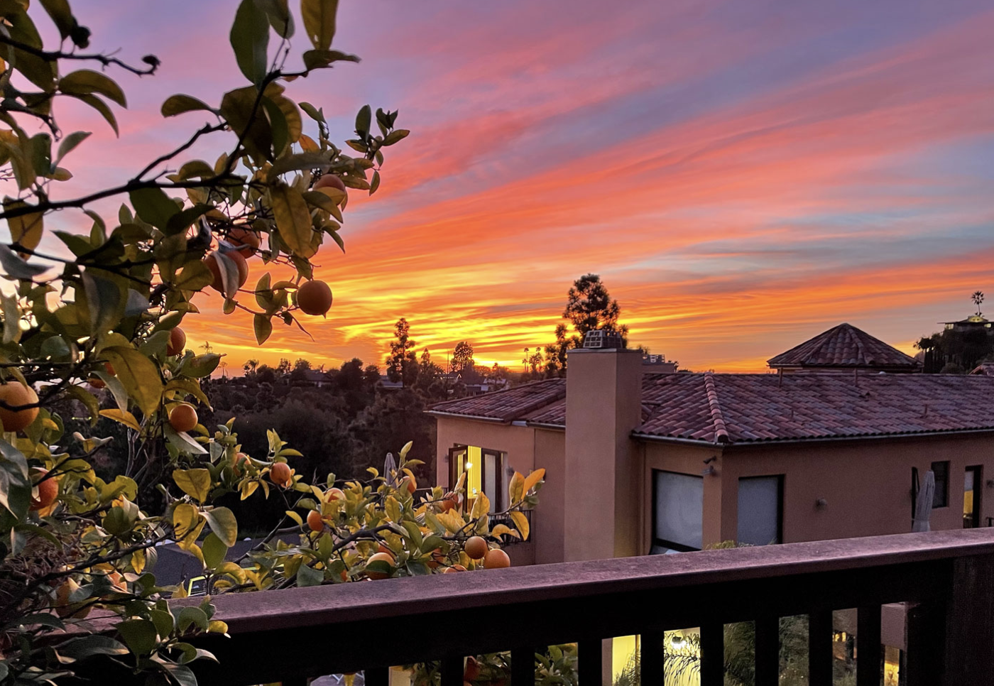 Divine House California   