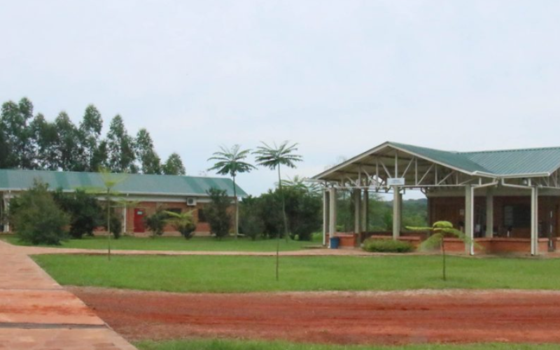 El Camino Paraguay Asuncion Paraguay 