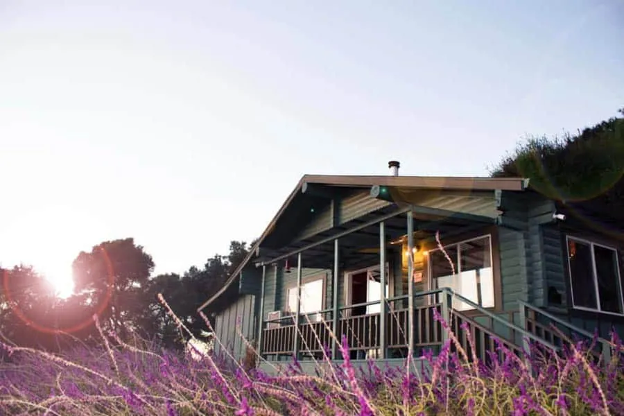 Elevate Addiction Services Placerville California 