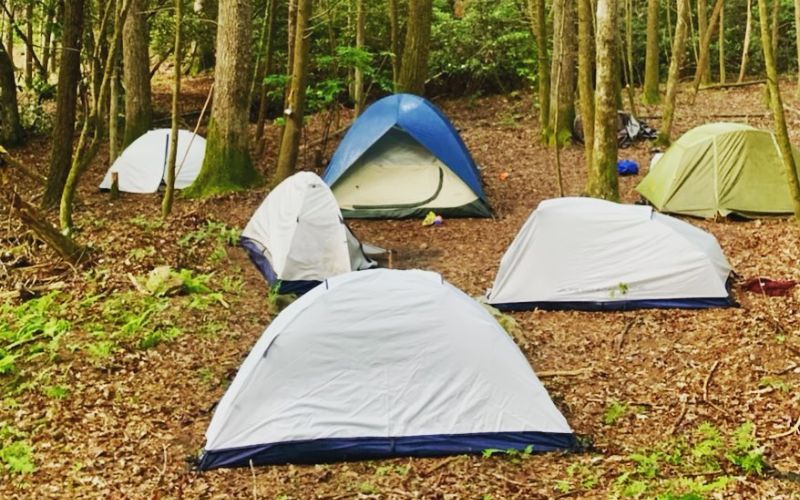 First Light Wilderness Dahlonega Georgia 