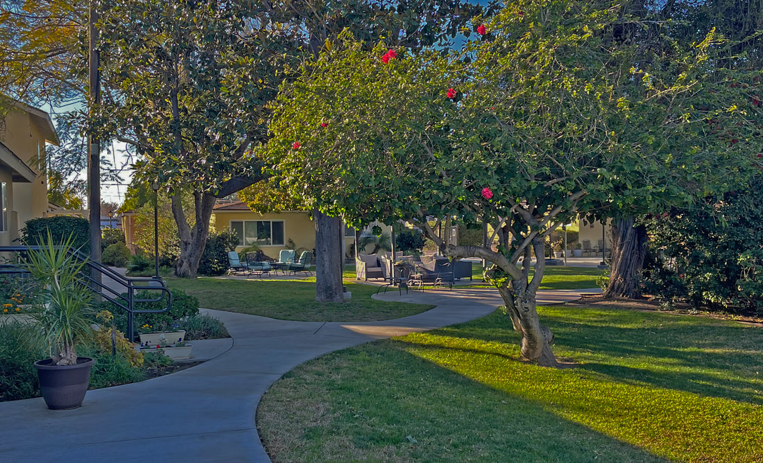 John Henry Foundation Santa Ana California 