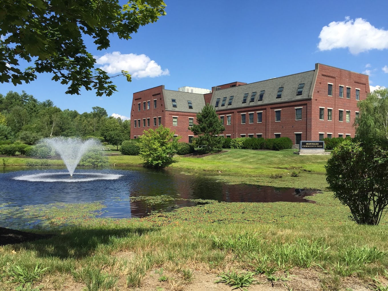 Lifestance Health Bedford New Hampshire 