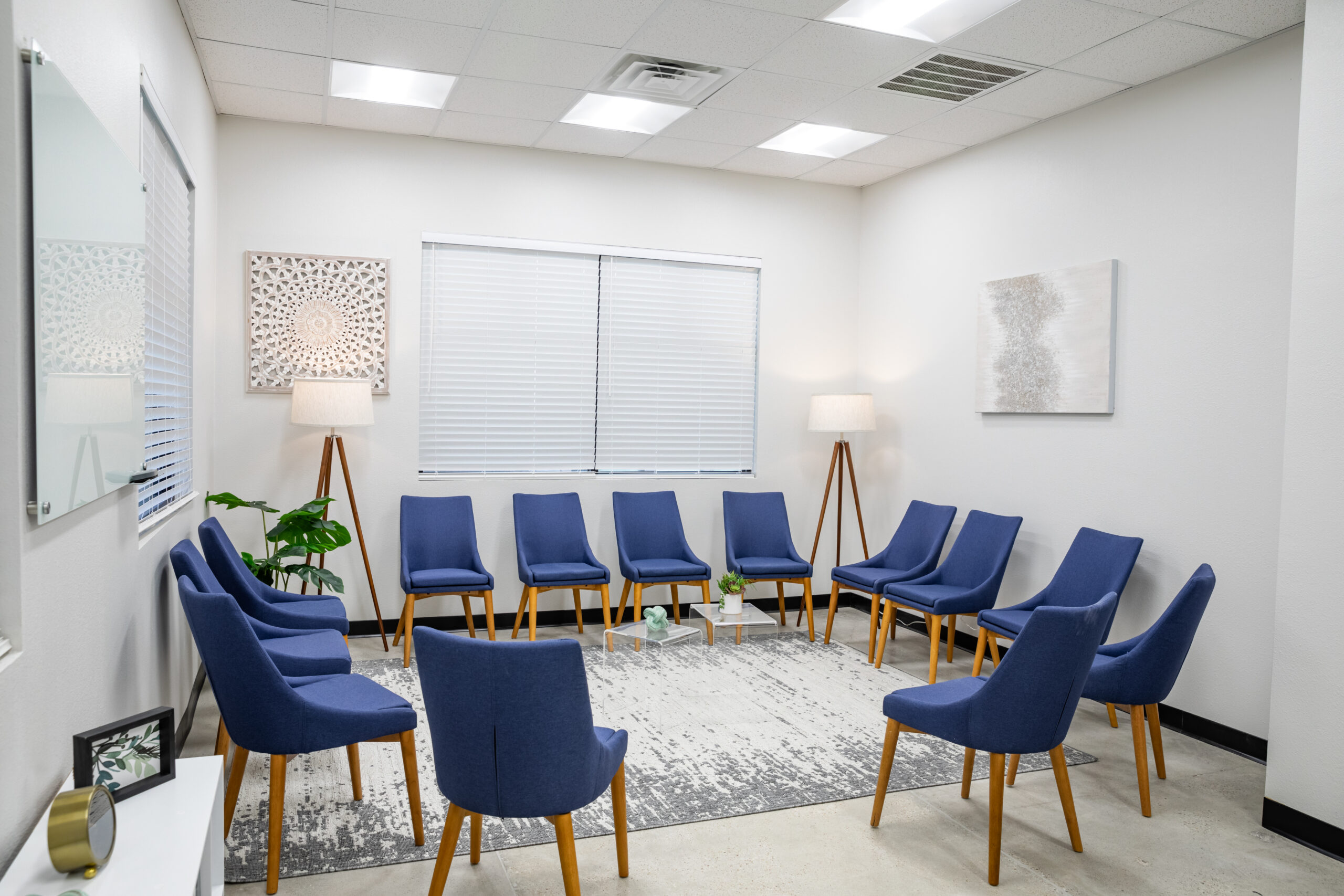 Mind Body Optimization Alliance 