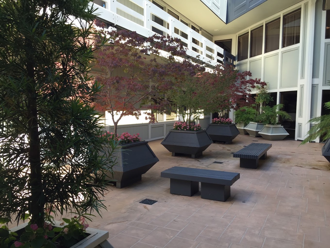Mind Therapy Clinic Corte Madera California   