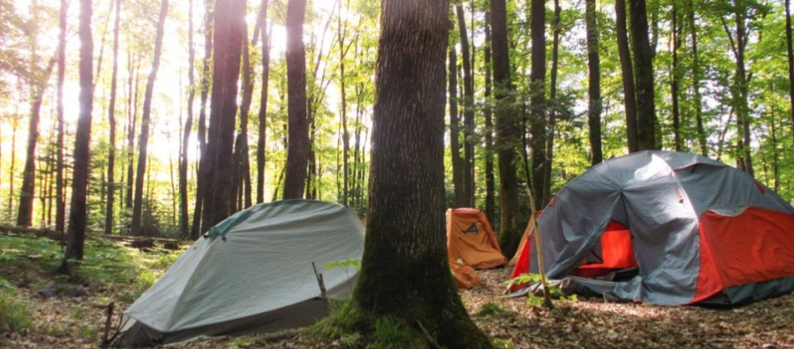 New Vision Wilderness Medford Wisconsin 