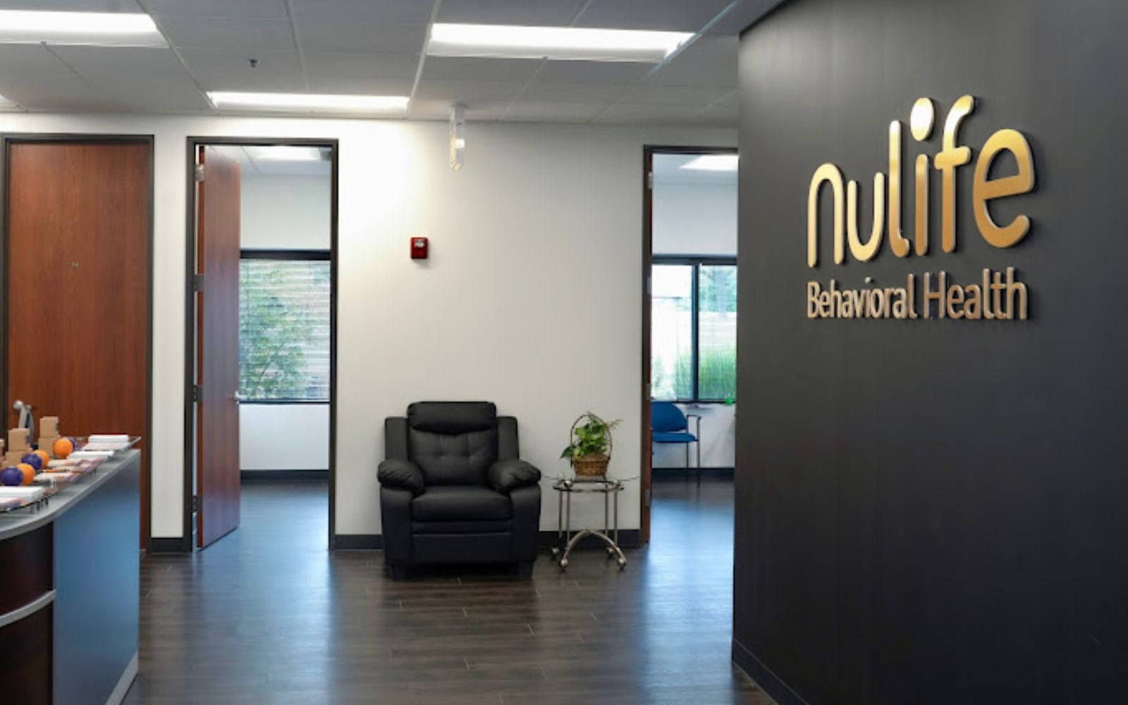 Nulife Behavioral Health Illinois 
