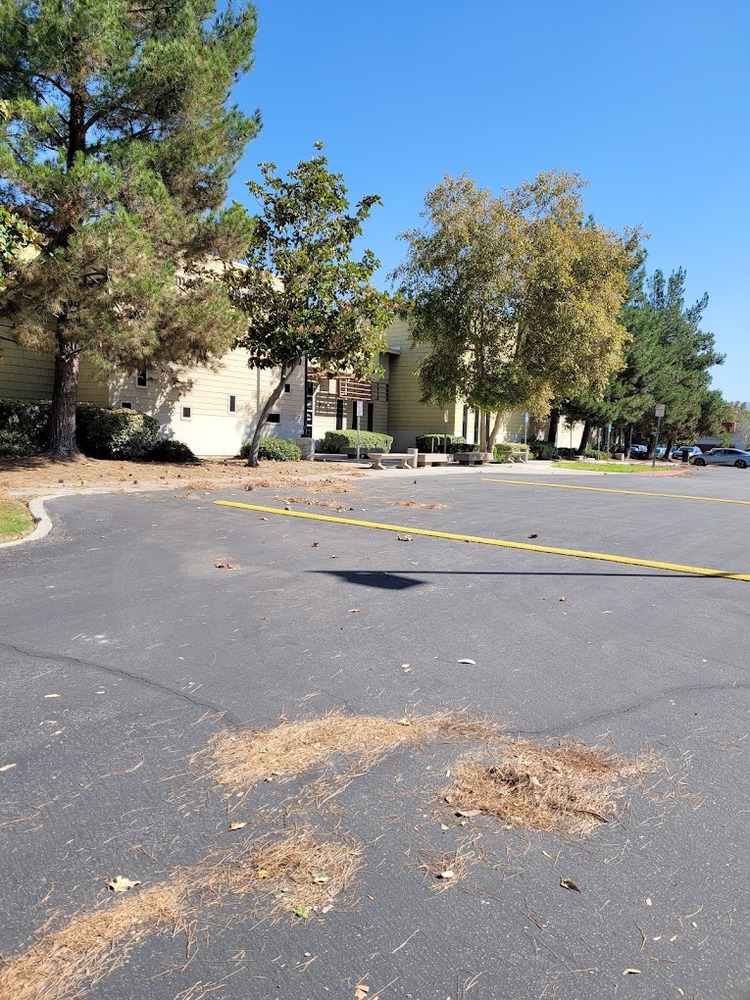 Phoenix Sud Recovery Services San Bernadino California 