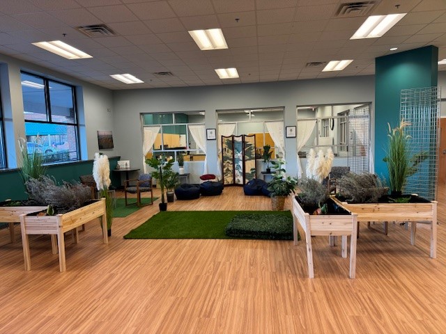 Pinnacle Treatment Centers Richmond Virginia 
