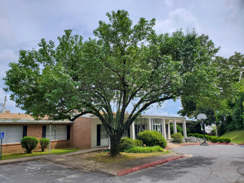 Recovery Centers Of Arkansas Williamsburg Little Rock Arkansas 