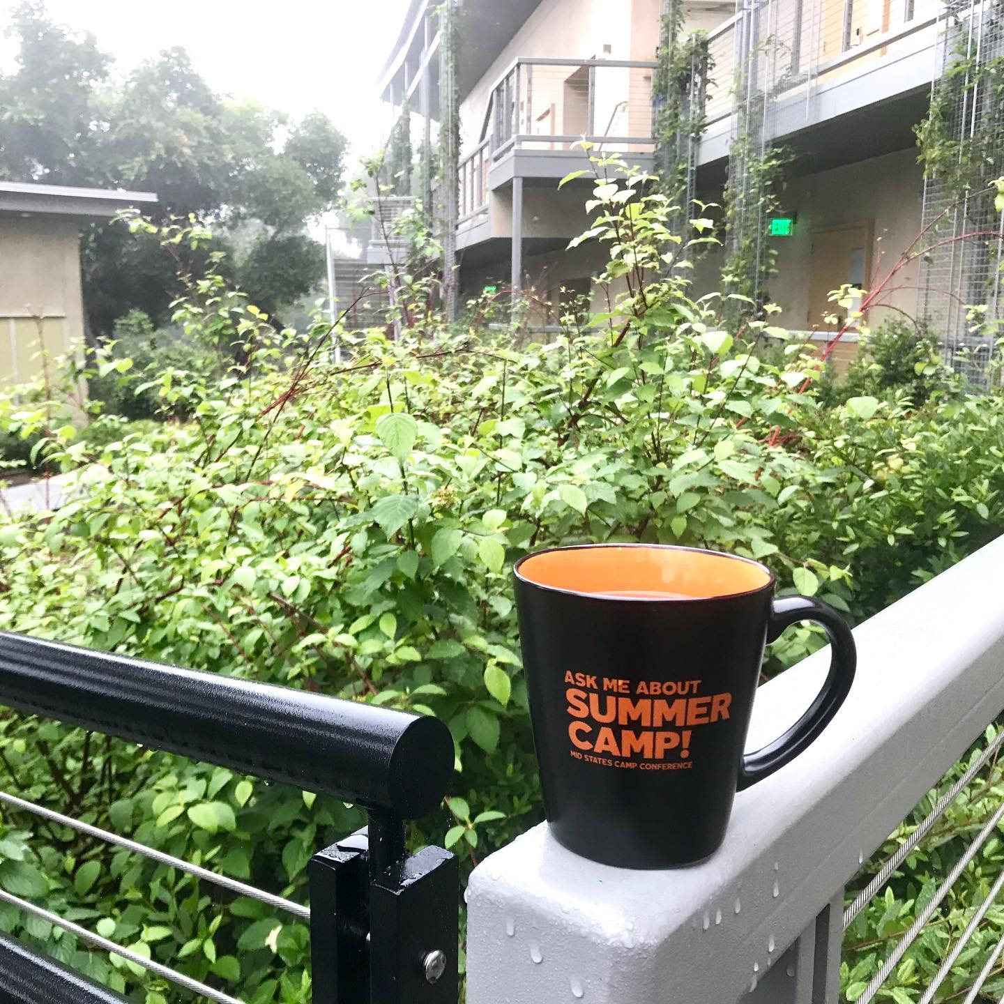 Reset Summer Camp California 