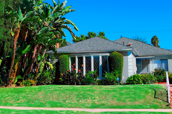 Revive Recovery Los Angeles California 