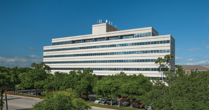 Rogers Behavioral Tampa Florida 