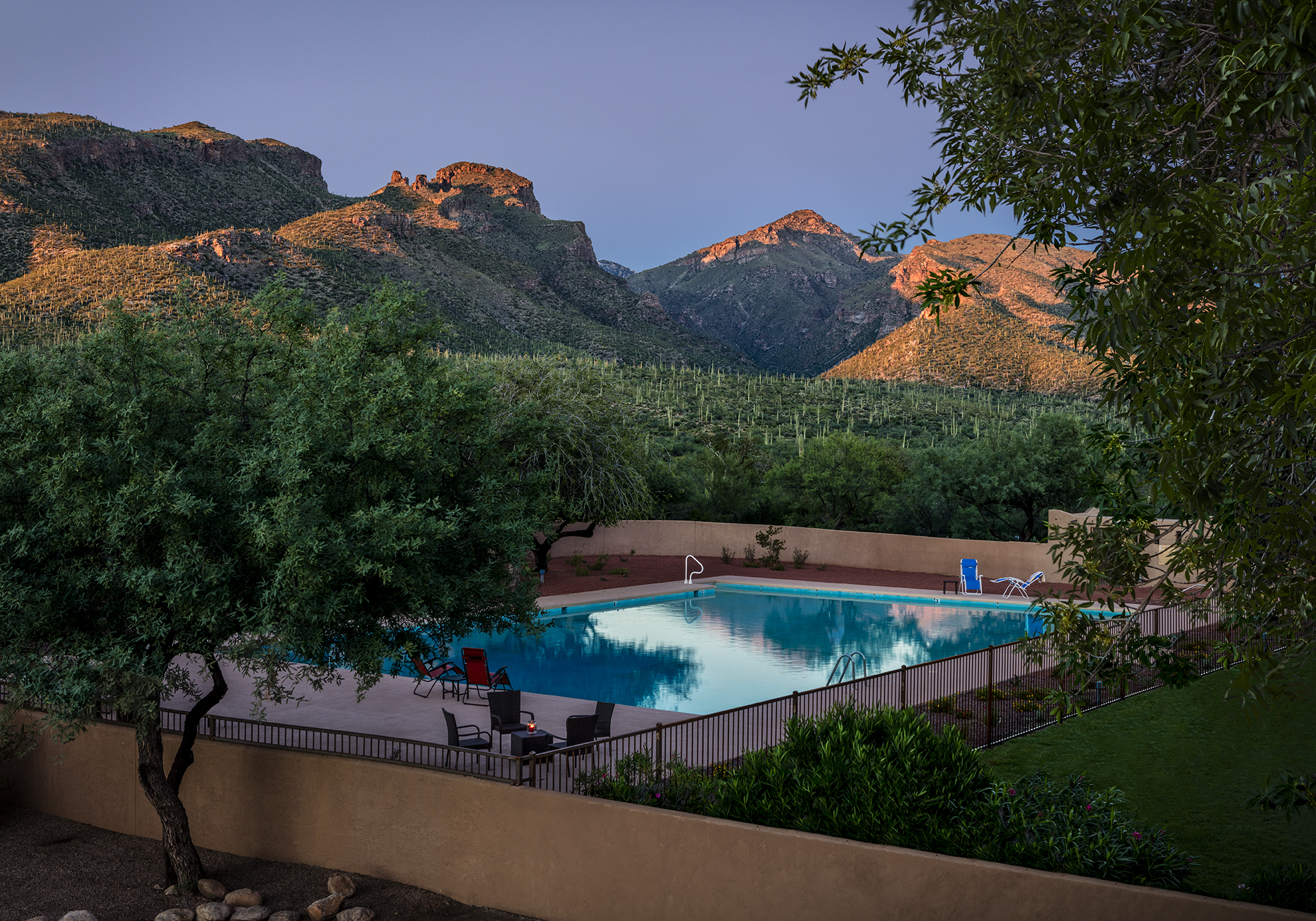 Sabino Recovery 