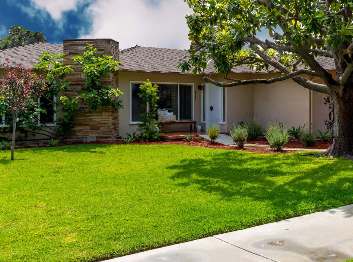 Saddleback Recovery California 