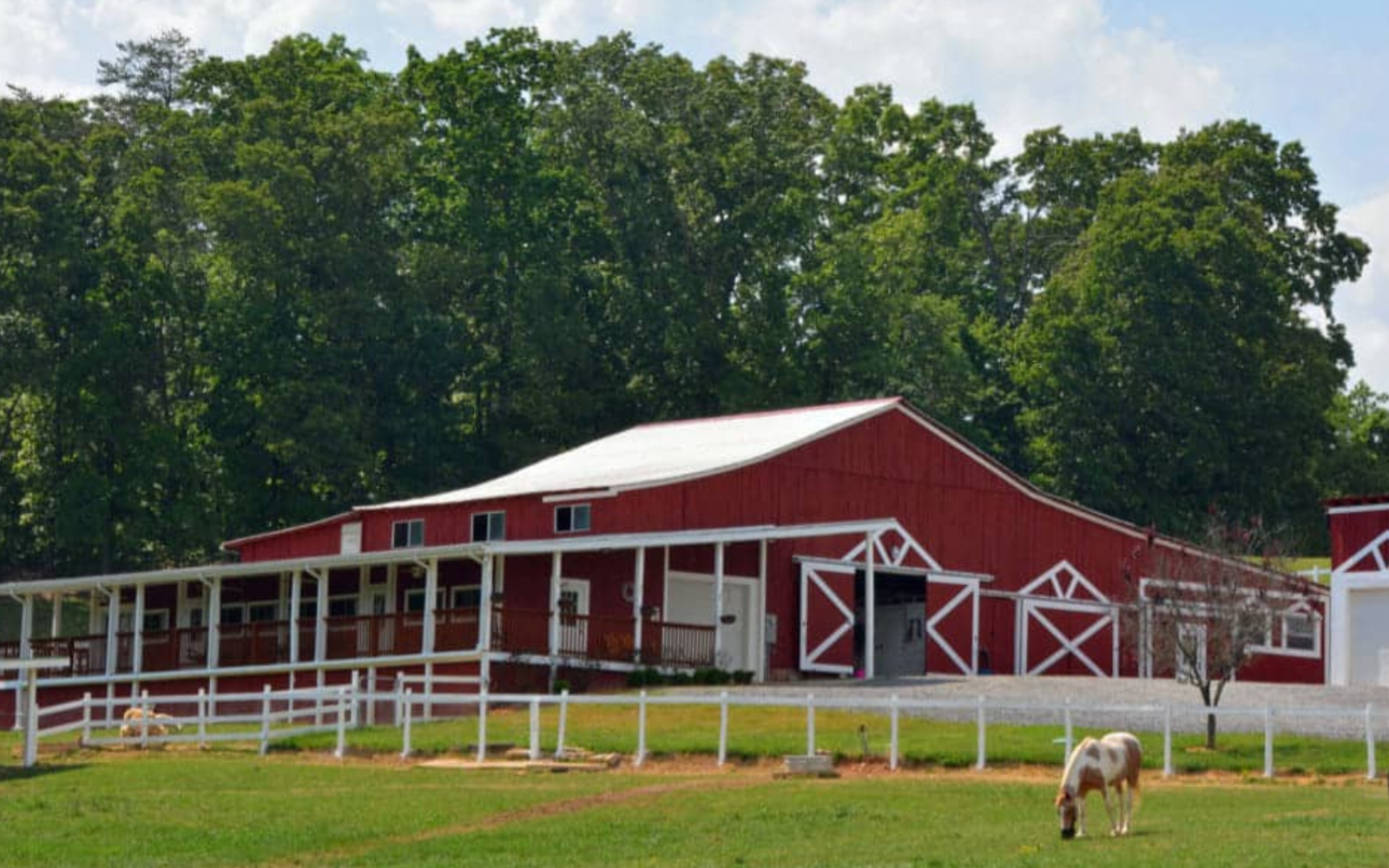 Stables Autism Program Sevierville Tennessee 