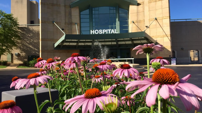 Swedish American Mental Health Services Rockford Illinois 