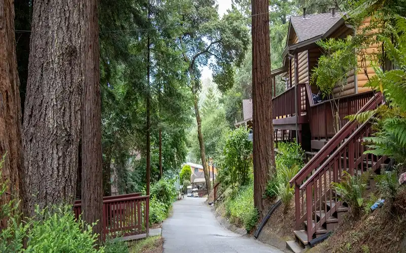 The Camp Recovery Center California 