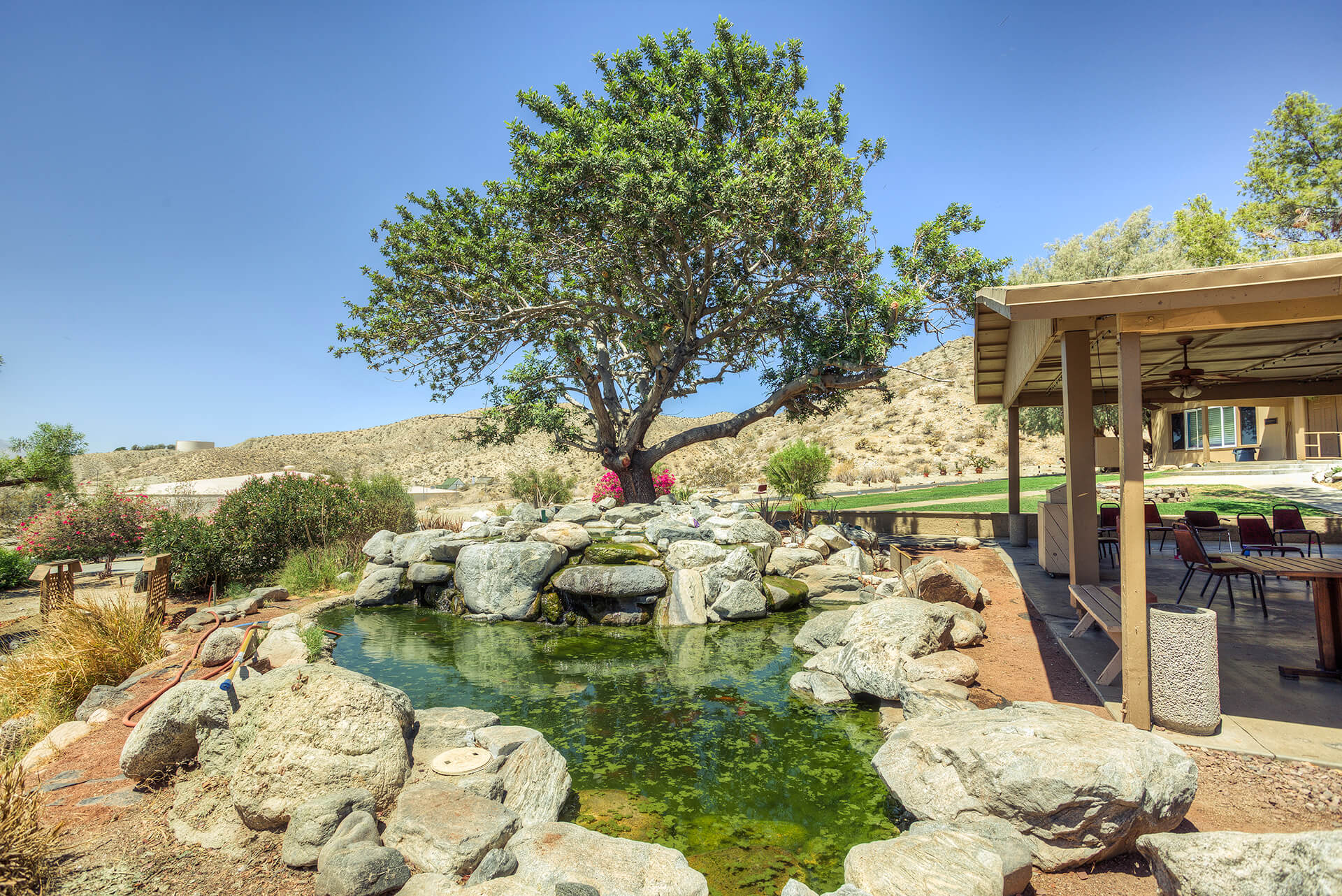 The Ranch Recovery California 