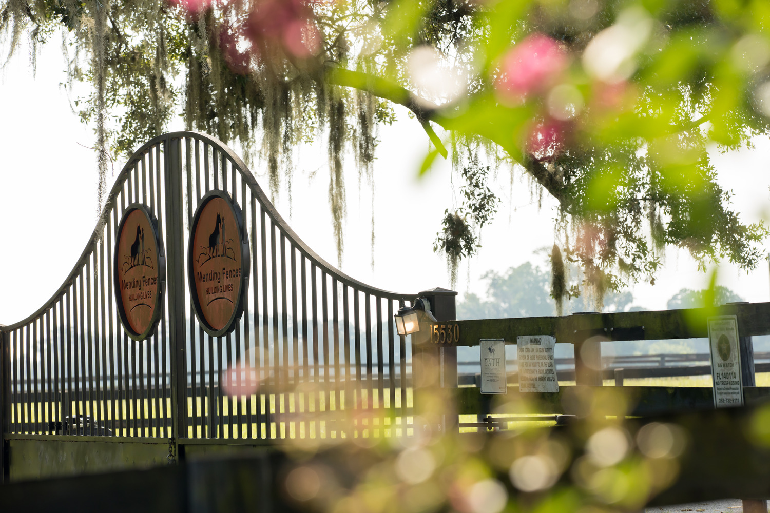 Transformations Mending Fences Morriston Florida 