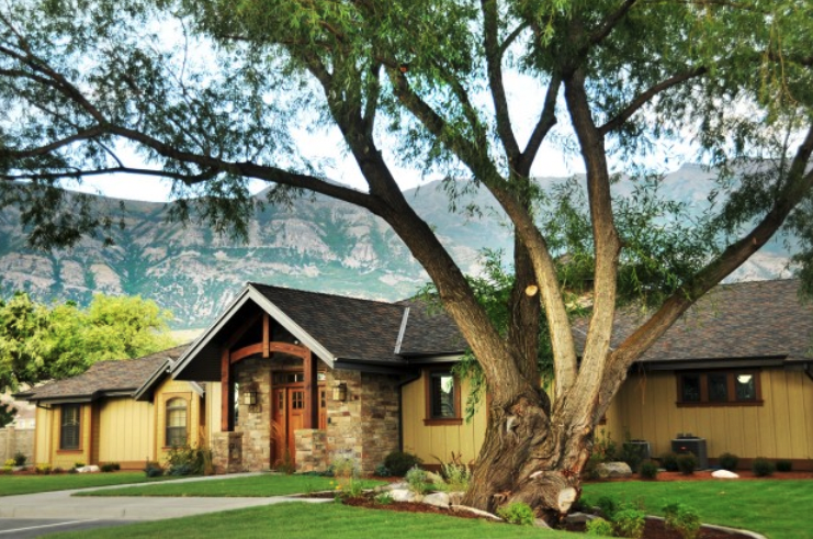 Willow Tree Recovery Utah 