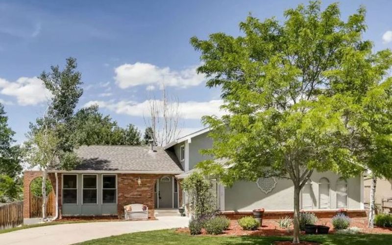 Zen Mountain Sober Living Denver Colorado 